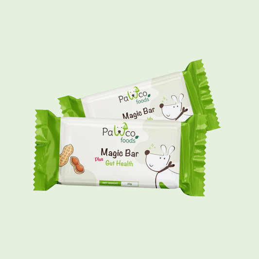PawCo Magic Bar Gut Health – functional dog snack bar box front on white background – PawCo Foods